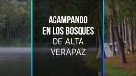 Acampando en los bosques de Alta Verapaz