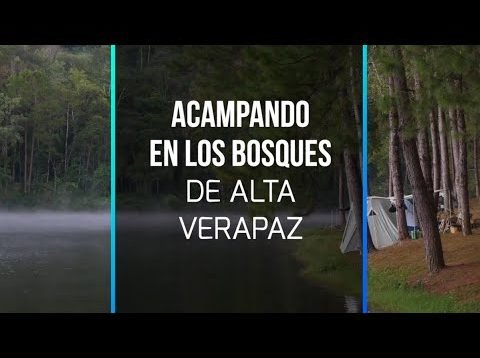 Acampando en los bosques de Alta Verapaz