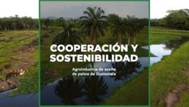 Cooperación y sostenibilidad