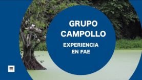 Experiencia en FAE