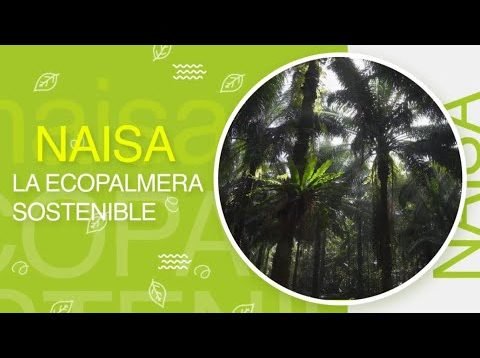 La Ecopalmera sostenible