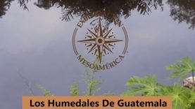 Los Humedales de Guatemala