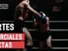 Artes marciales mixtas