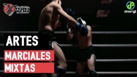 Artes marciales mixtas