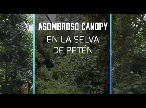 Asombroso Canopy