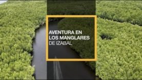 Aventura en los manglares de Izabal