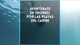 Aventurate en snorkel por las playas del caribe