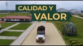 Calidad y valor