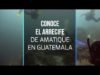 Conoce el arrecife de Amatique en Guatemala