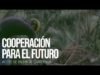 Cooperación para el futuro