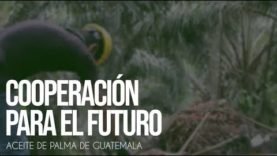 Cooperación para el futuro