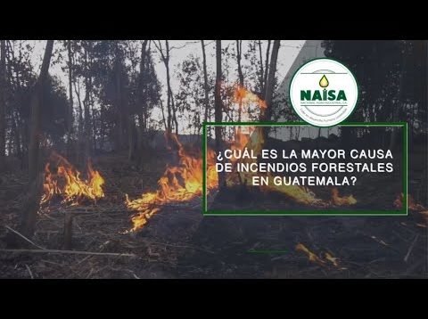 ¿Cuál es la mayor causa de incendios forestales en Guatemala?