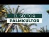 El Sector Pamicultor, desarrollo para los guatemaltecos