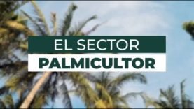 El Sector Pamicultor, desarrollo para los guatemaltecos