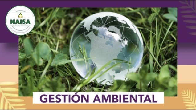 Gestión Ambiental