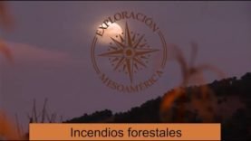 Incendios forestales