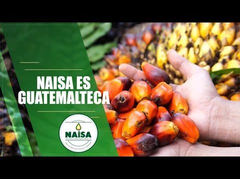 NAISA es guatemalteca