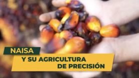 NAISA y su agricultura de precisión