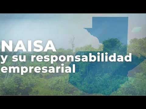 NAISA y su responsabilidad empresarial