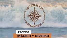 Pacífico mágico y diverso