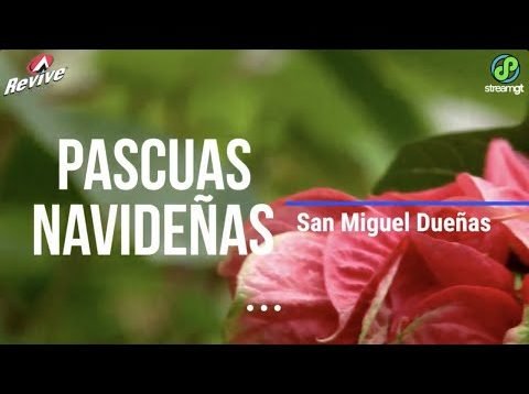 Pascuas San Miguel Dueñas