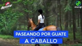 Paseando por guate a caballo