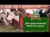 ¿Por qué consumir leche de cabra?
