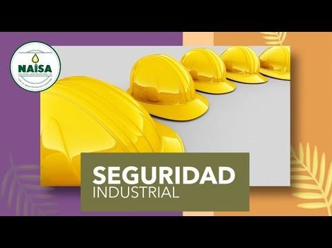 Seguridad Industrial