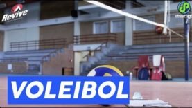 Voleibol