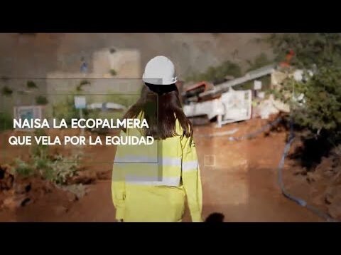 <a href="https://www.youtube.com/watch?v=MecJAf2gqJs">Eco palmera que vela por la equidad</a>