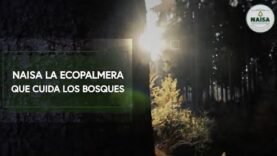 NAISA la ecopalmera que cuida los bosques