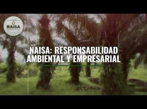 Responsabilidad ambiental empresarial