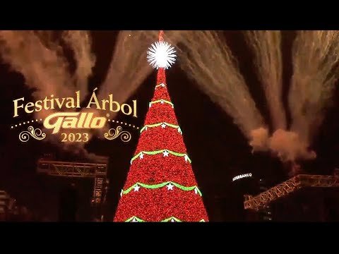 Festival Arbol Gallo