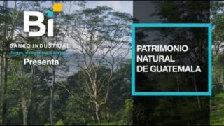 Patrimonio Natural de Guatemala