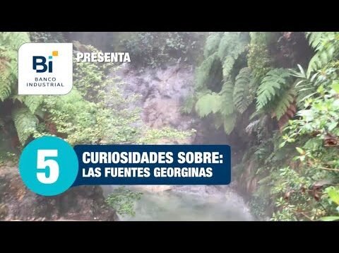 5 curiosidades sobre las fuentes georginas