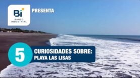 Bi Playa las Lisas