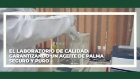 Garantizando un aceite de palma seguro y puro