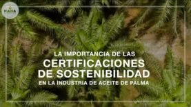 Importancia de contar con certificaciones internacionales de sostenibilidad