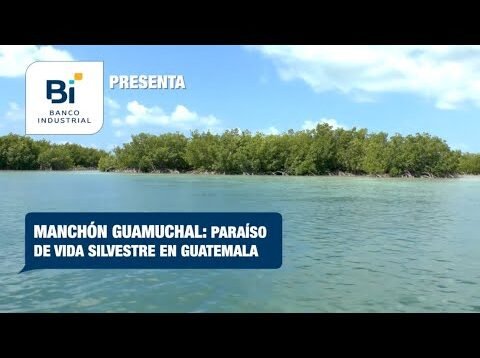 Manchón Guamuchal: Paraíso de vida silvestre en Guatemala