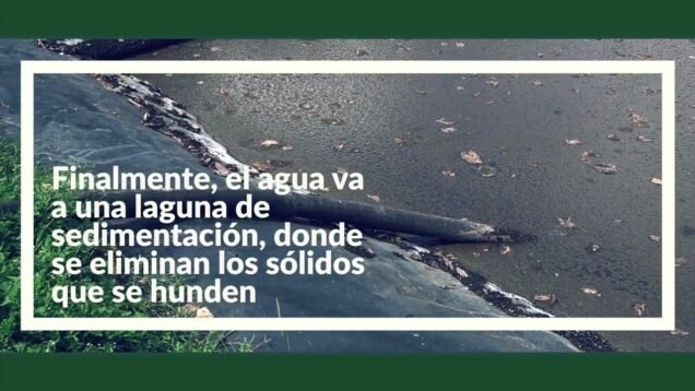 Soluciones integrales para el tratamiento de aguas residuales