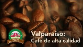 Valparaíso: Café de alta calidad