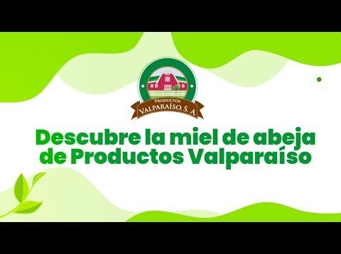 Beneficios de la miel pura