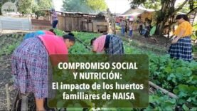 Compromiso social y nutrición