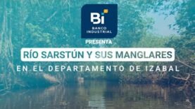 Descubre la riqueza natural de Guatemala