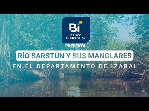 Descubre la riqueza natural de Guatemala