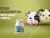 Disfruta del mejor Yogurt