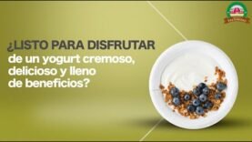 Disfruta del mejor Yogurt