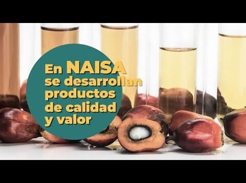 Eficiencia y Sostenibilidad