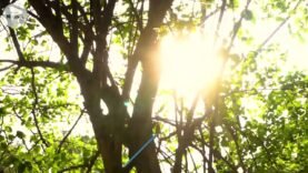 En NAISA cuidamos y restauramos los ecosistemas que nos rodean