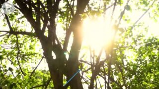 En NAISA cuidamos y restauramos los ecosistemas que nos rodean